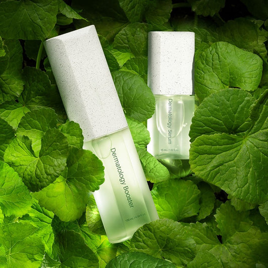 Dermatology First Package EX